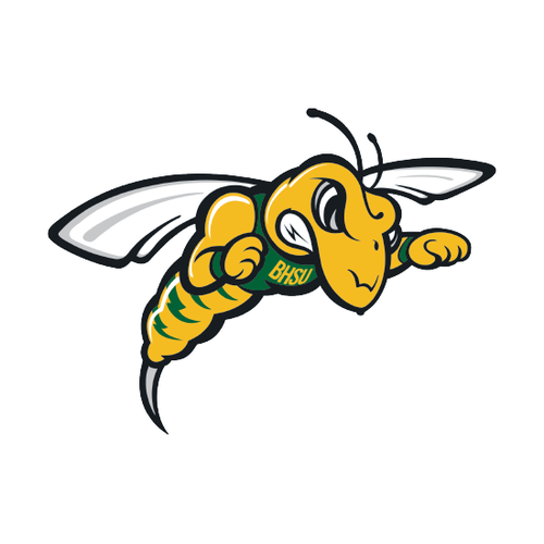 Black Hills State