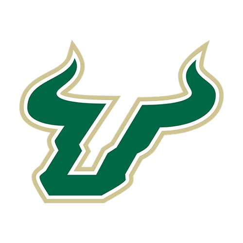 University of South Florida